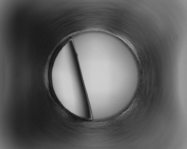 X0000087540984200705181045