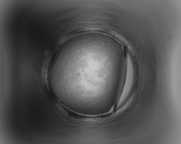 X0000087540985200705181045