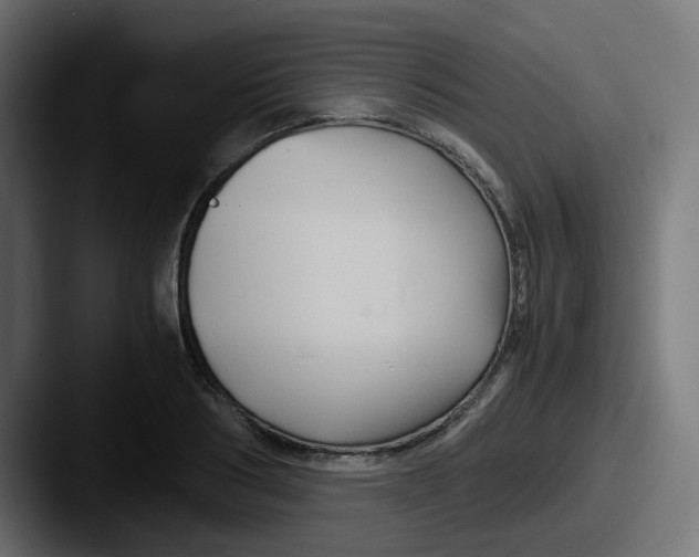 X0000087540986200705181045