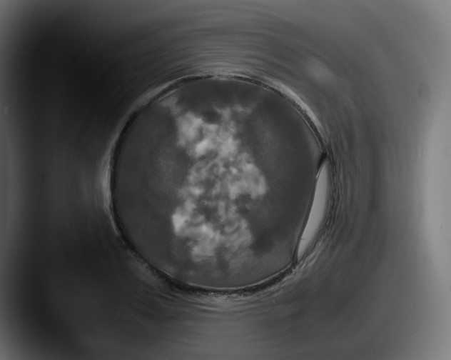 X0000087540987200705181045