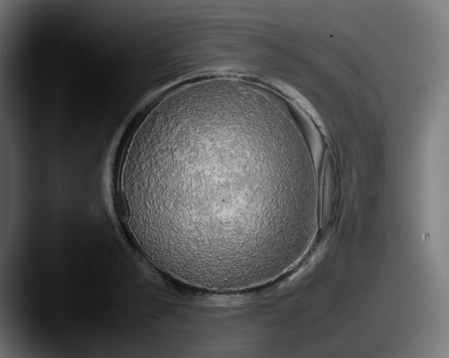 X0000087540989200705181045