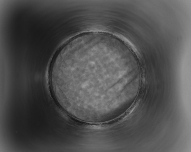 X0000087540990200705181045