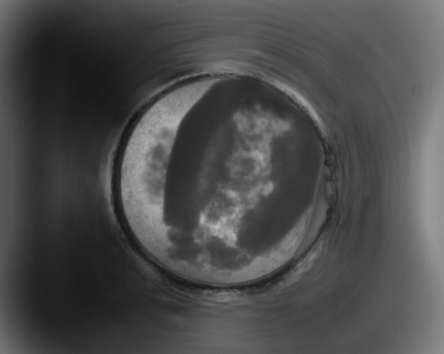 X0000087540991200705181045