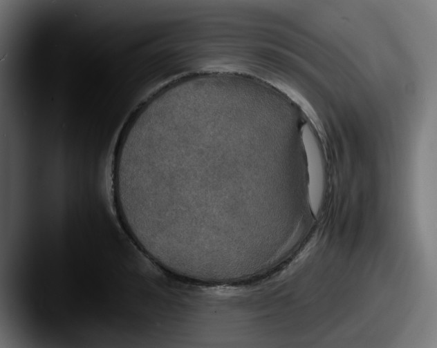 X0000087540992200705181045