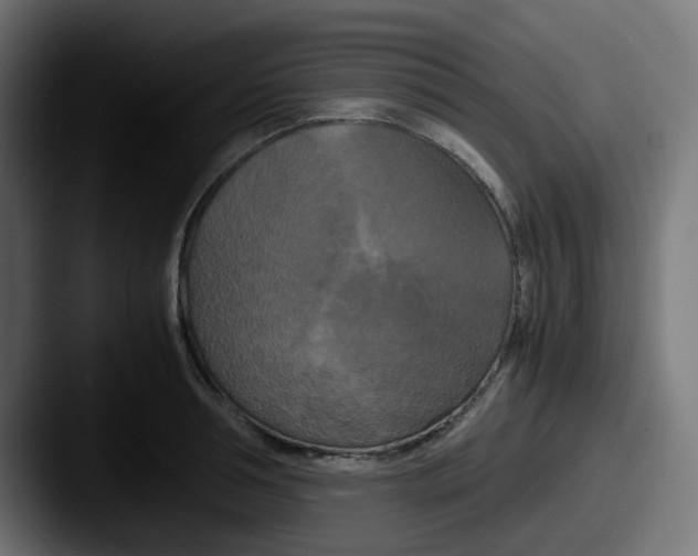 X0000087540994200705181045