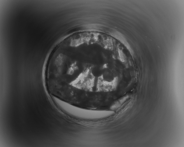 X0000087540995200705181045