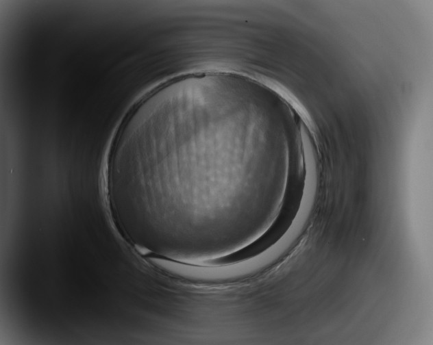 X0000087540996200705181045