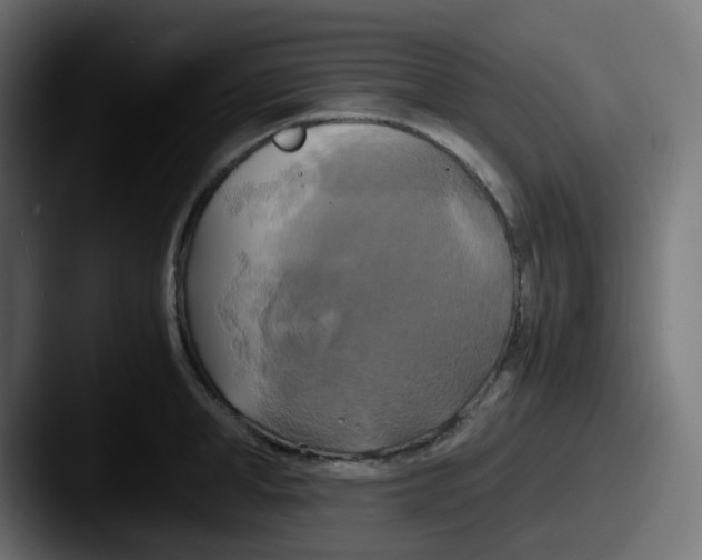 X0000087540998200705181045