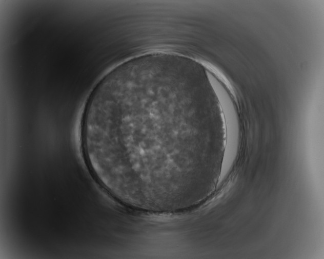 X0000087540999200705181045