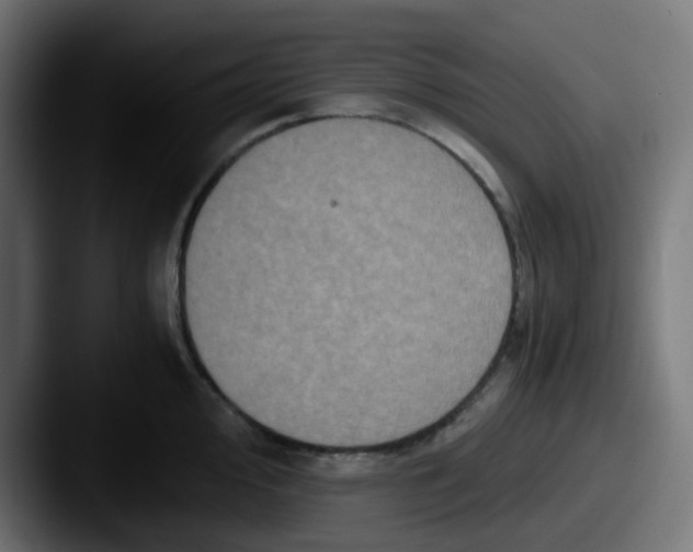 X0000087541000200705181045