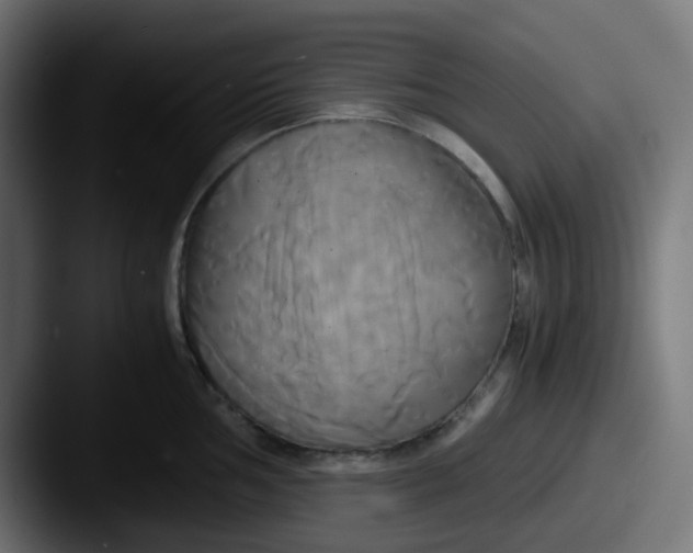 X0000087541002200705181045