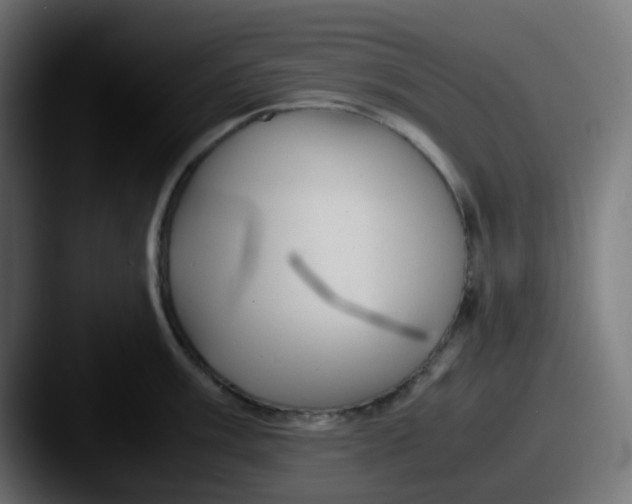 X0000087541003200705181045