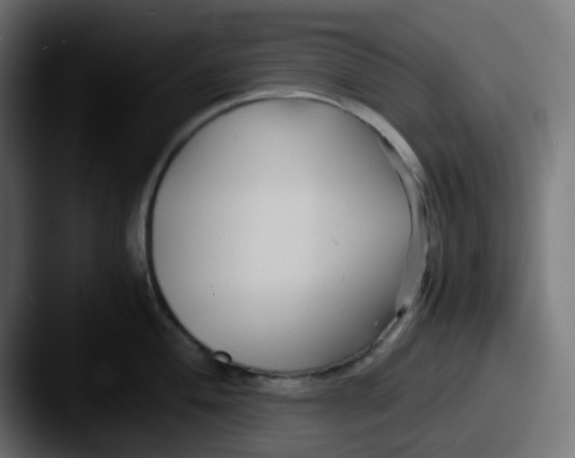 X0000087541004200705181045