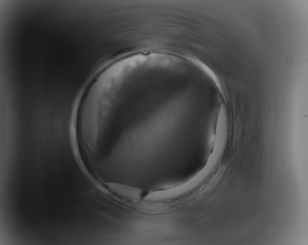 X0000087541007200705181045