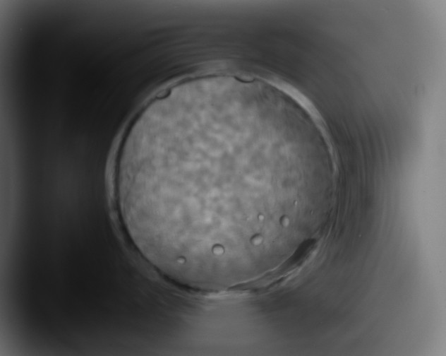 X0000087541008200705181045