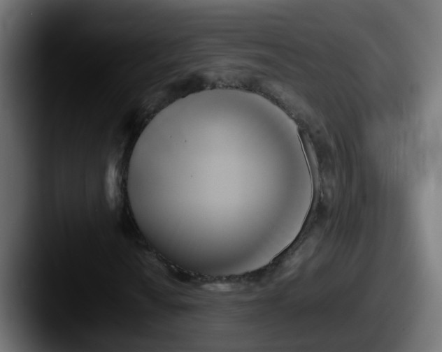 X0000087541010200705181044