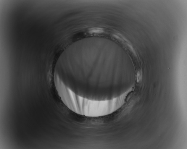 X0000087541011200705181044