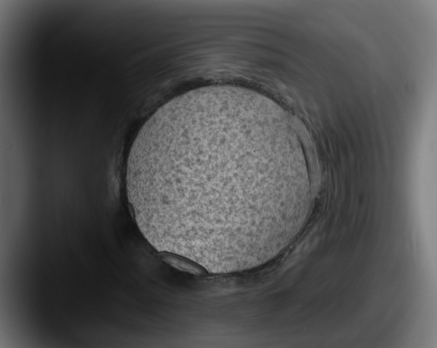 X0000087541012200705181044