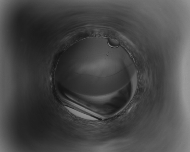 X0000087541013200705181044