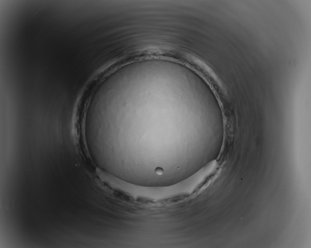 X0000087541018200705181044