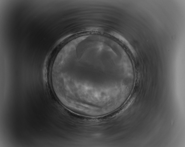 X0000087541019200705181044