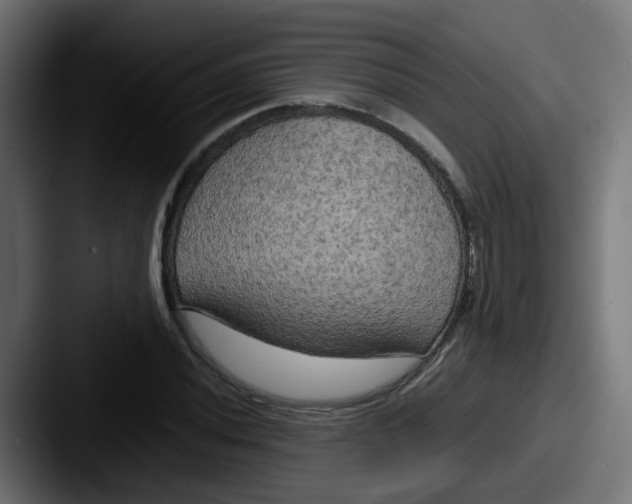 X0000087541020200705181044