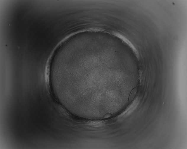 X0000087541021200705181044