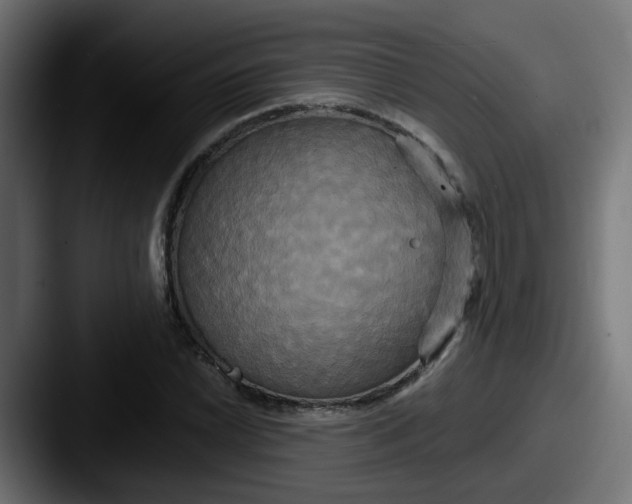 X0000087541022200705181044