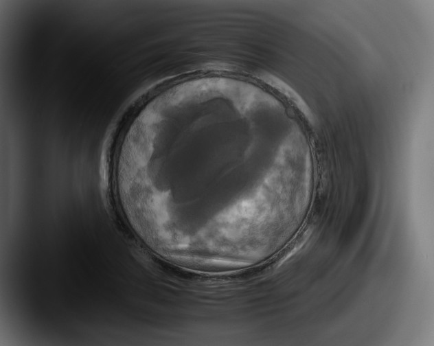 X0000087541027200705181045