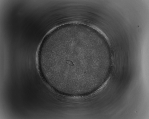 X0000087541029200705181045