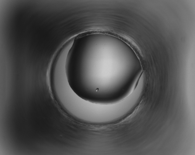 X0000087541030200705181045