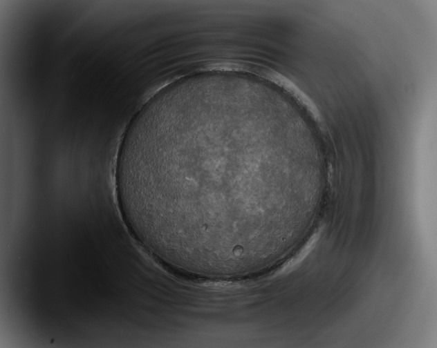 X0000087541033200705181045