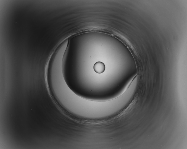 X0000087541034200705181045