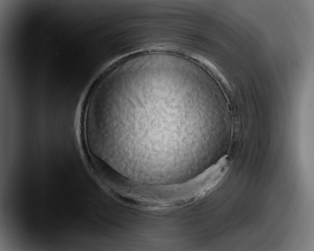 X0000087541038200705181045