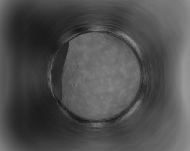 X0000087541041200705181045