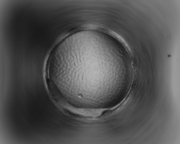 X0000087541042200705181045