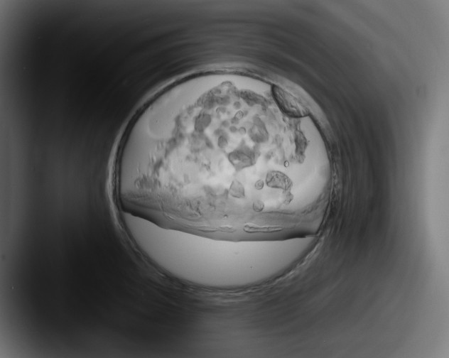 X0000087541044200705181045