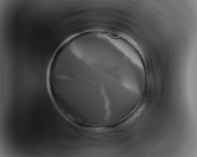 X0000087541045200705181045