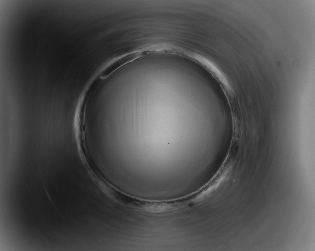 X0000087541046200705181045