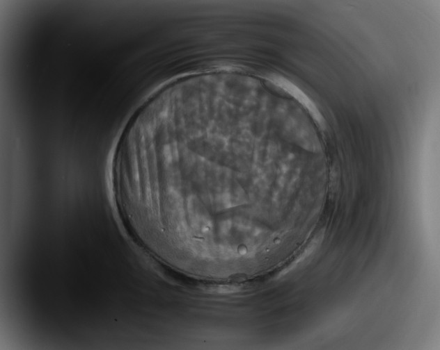 X0000087541047200705181045