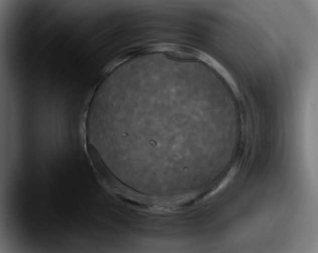 X0000087541049200705181045