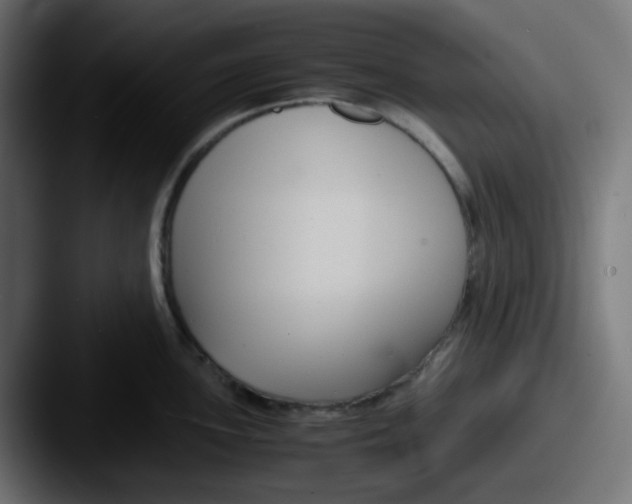 X0000087541051200705181045