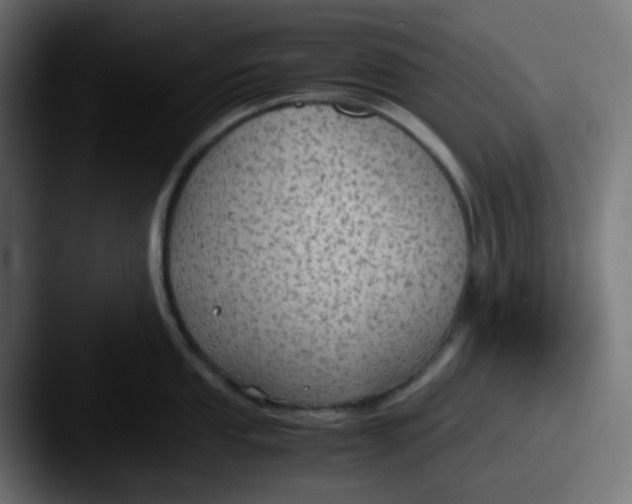 X0000087541053200705181045