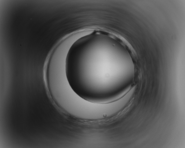 X0000087541054200705181045