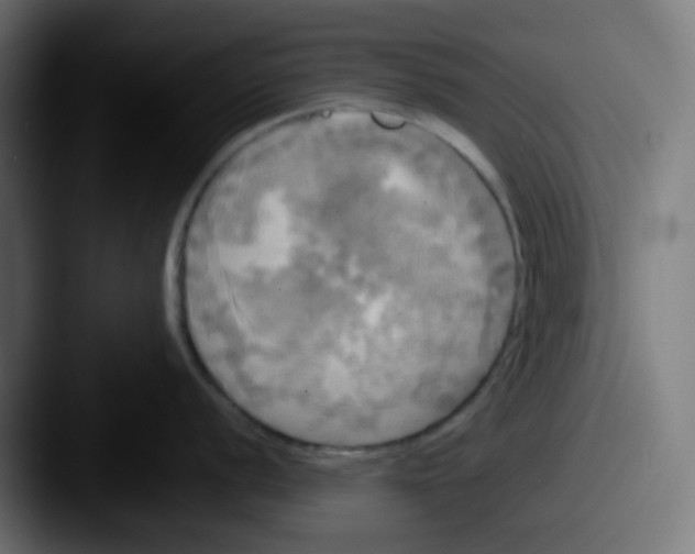 X0000087541056200705181045