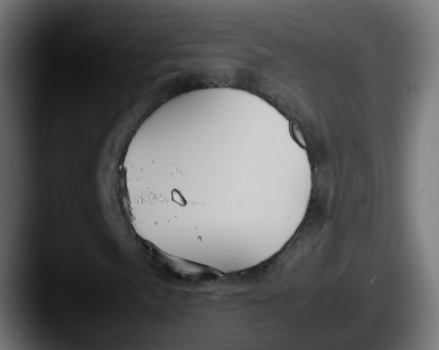 X0000087541057200705181044