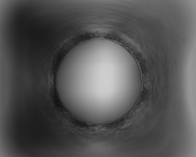 X0000087541061200705181044