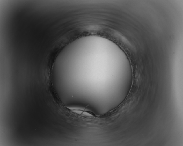 X0000087541062200705181044