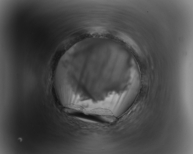 X0000087541063200705181044