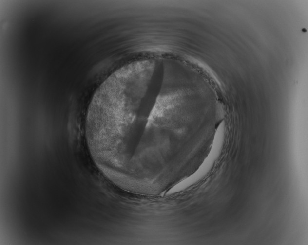 X0000087541064200705181044